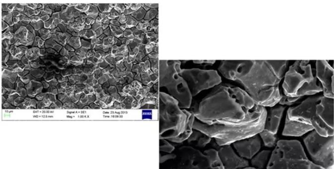 乐东乐东蔡司乐东扫描电镜