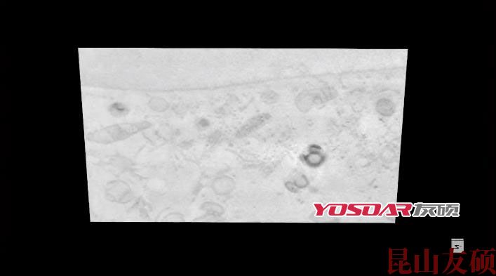 FIB乐东扫描电镜